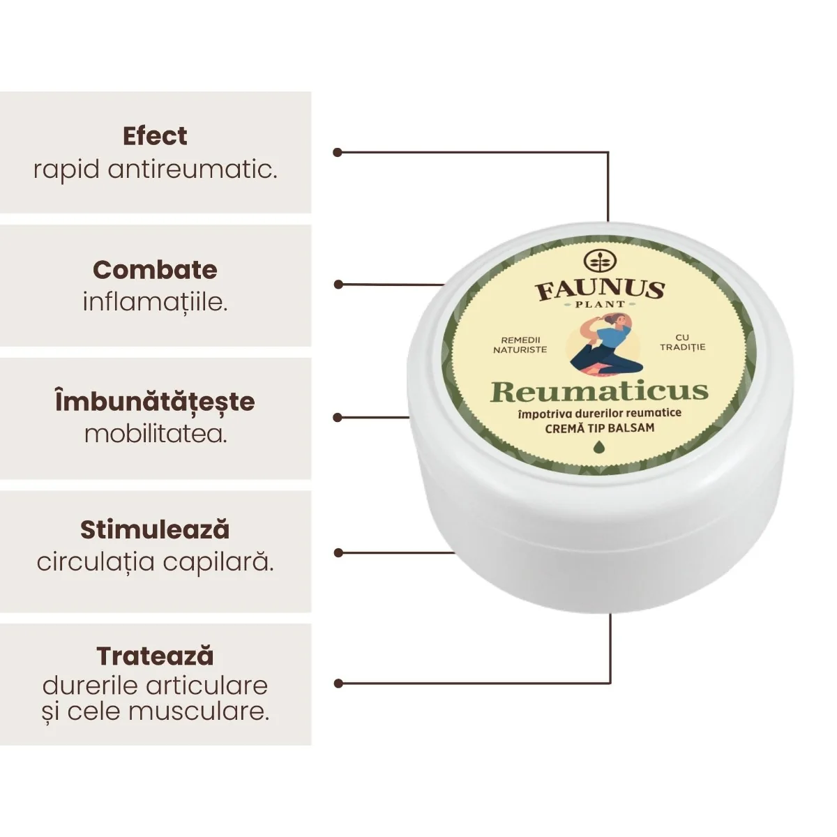Unguent pentru dureri reumatice Reumaticus, 100ml, Faunus Plant