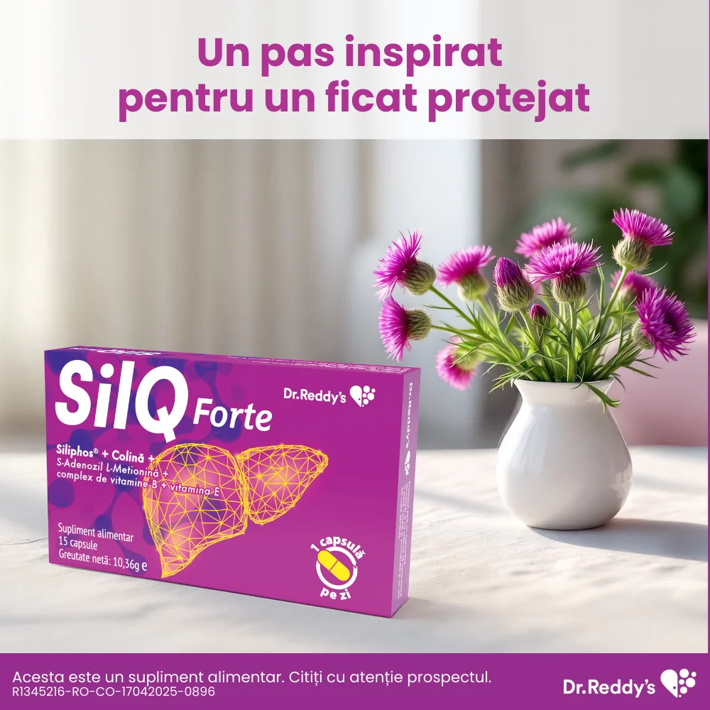 SilQ Forte, 15 capsule, Dr. Reddys