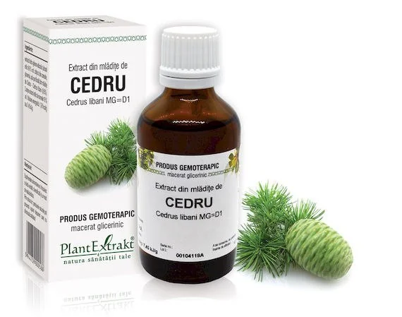 Extract din mladite de Cedru, 50ml, PlantExtrakt