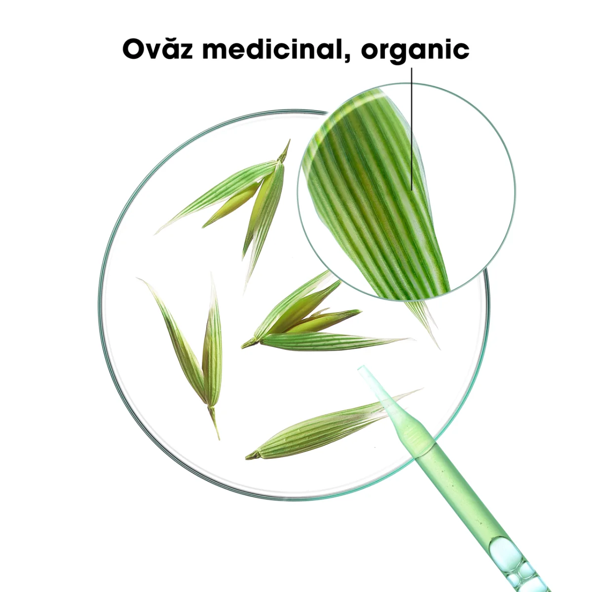 Sampon uscat cu lapte de ovaz, 150ml, Klorane