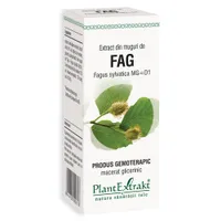 Extract din muguri de Fag, 50ml, PlantExtrakt