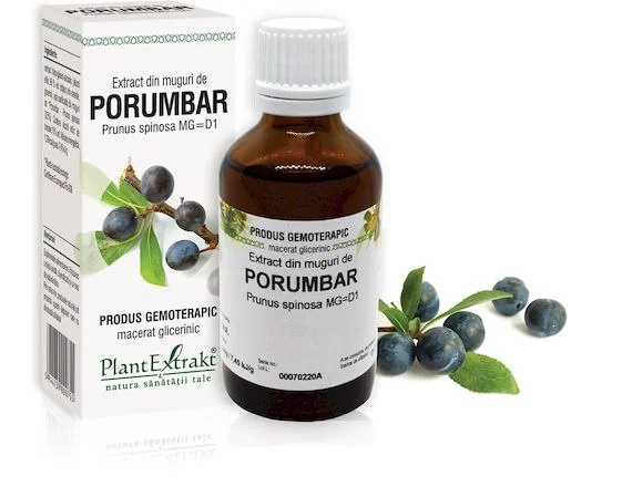 Extract din muguri de Porumbar, 50ml, PlantExtrakt