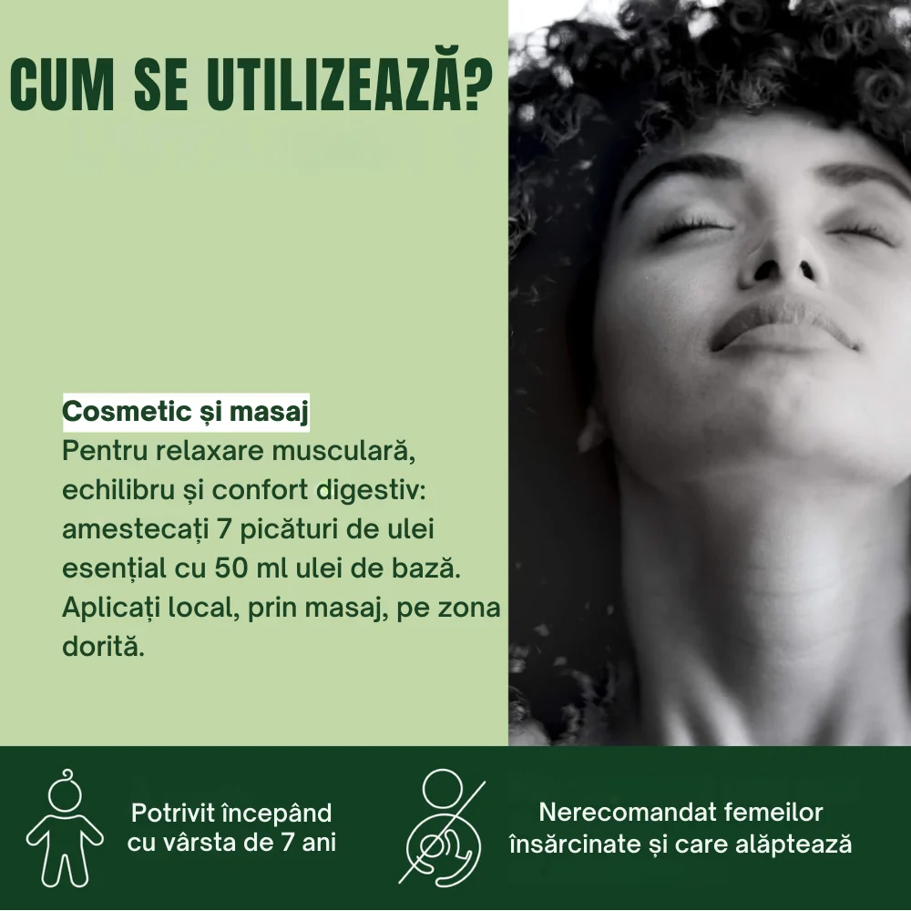 Ulei esential de Busuioc Exotic Bio, 10ml, Pranarom