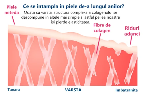 Dr.Ā Max Collagen Drink, 30 plicuri Dr.Ā Max Collagen Drink, 30 plicuri