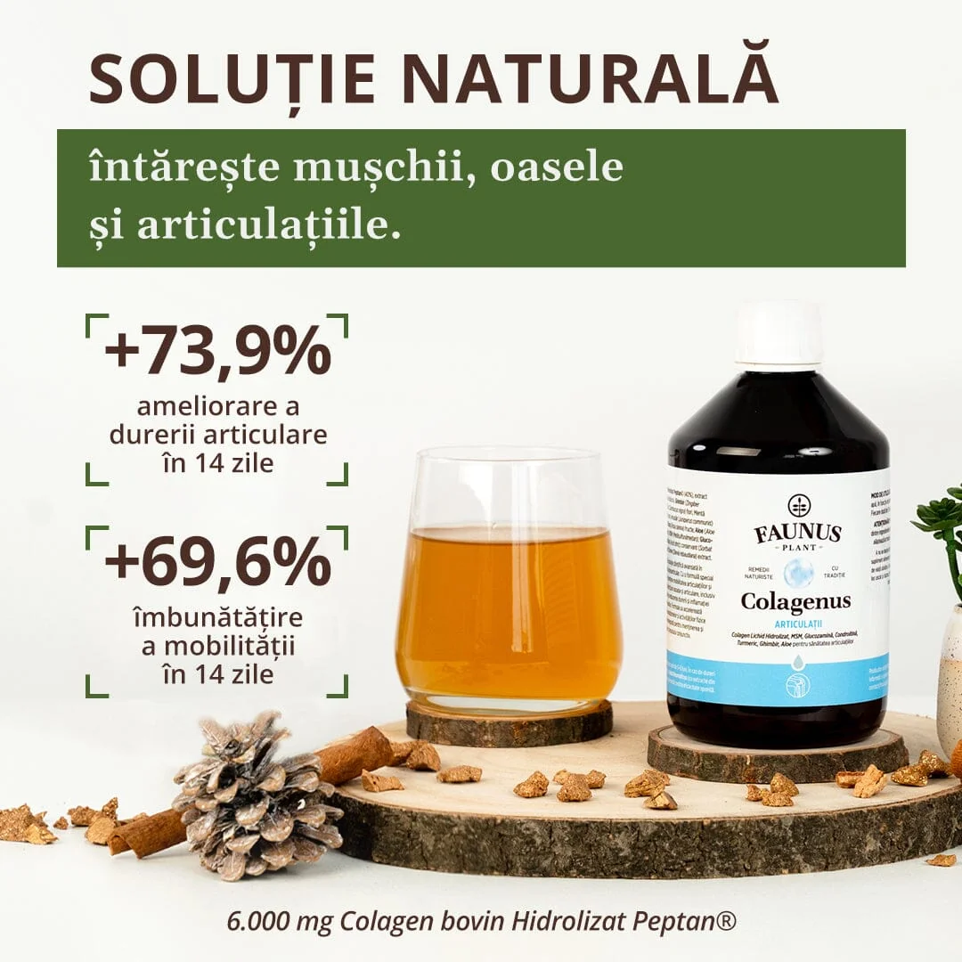 Colagen lichid pentru muschi si ligamente Colagenus Articulatii, 500ml, Faunus Plant
