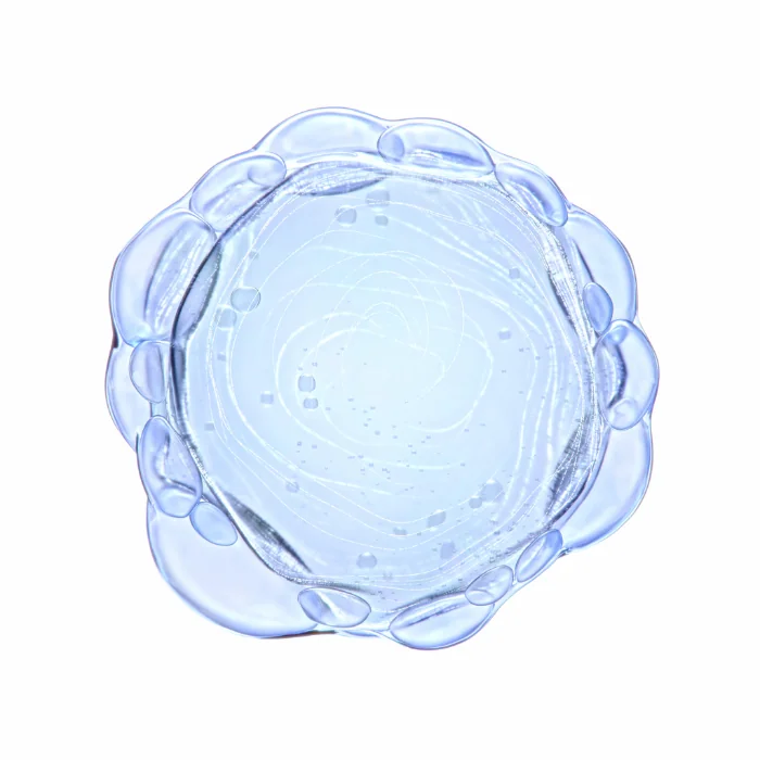 APA TERMALA LA ROCHE-POSAY APA TERMALA LA ROCHE-POSAY