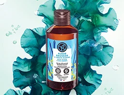 Yves Rocher – ingrijirea corpului Yves Rocher – ingrijirea corpului