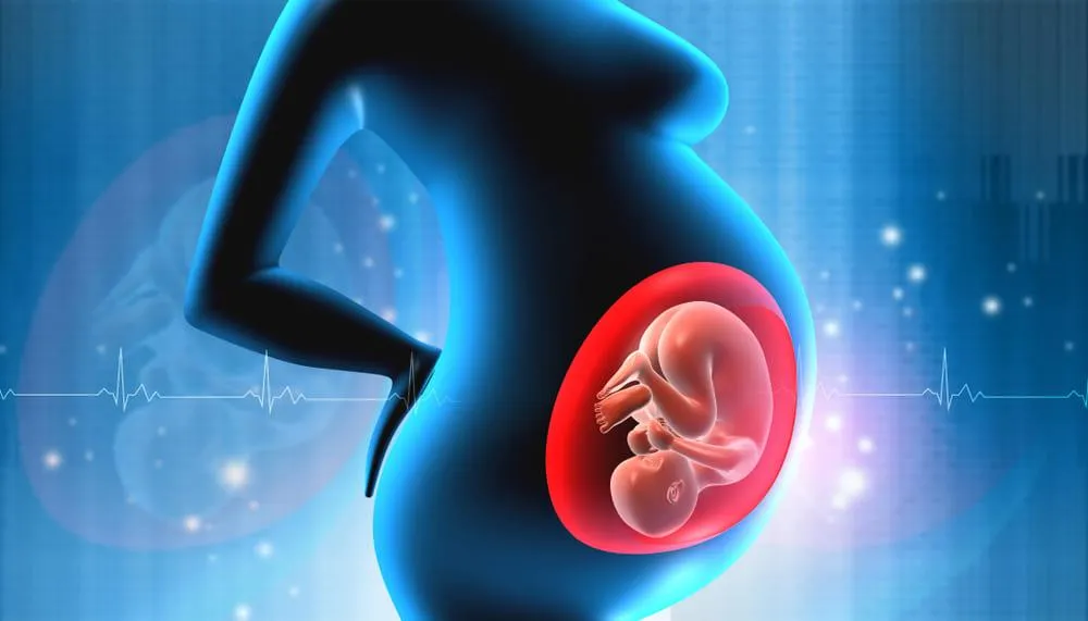 Lichidul amniotic: ce este si care este rolul acestuia