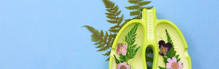 Top 10 plante cu proprietati expectorante si beneficii pentru respiratie