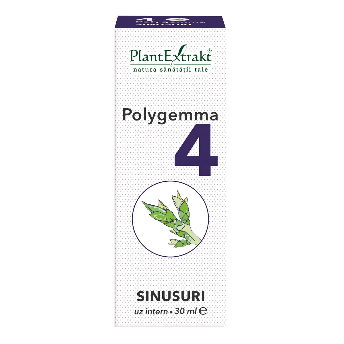 Polygemma 4 sinusuri, 30ml, Plant Extrakt