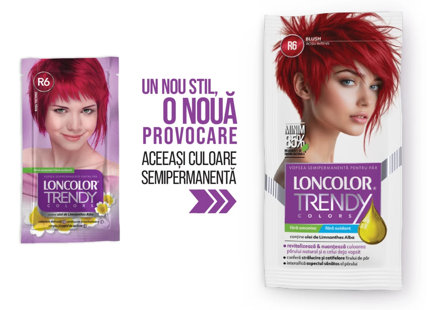 Vopsea semipermanenta Trendy Colors R6, 50ml, Loncolor 
