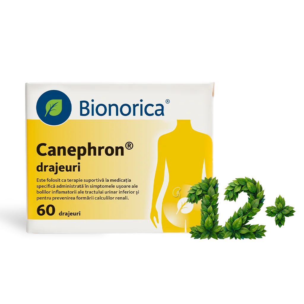 Canephron, 60 drajeuri, Bionorica