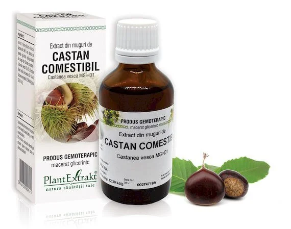 Extract din muguri de castan comestibil, 50ml, PlantExtrakt