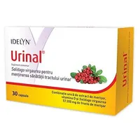 Urinal, 30 capsule, Walmark