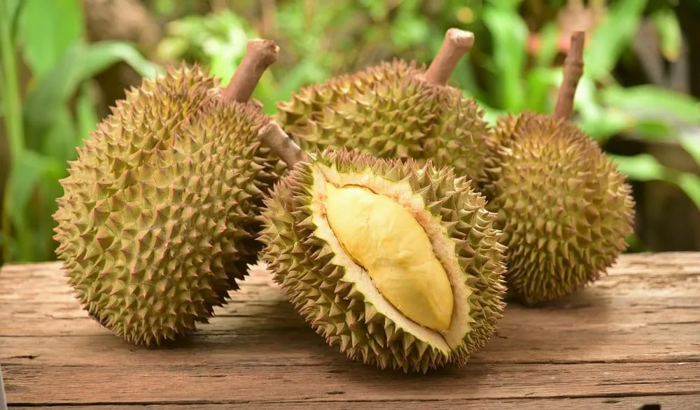 Durian: beneficii, proprietati, contraindicatii