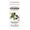 Extract din muguri de Porumbar, 50ml, PlantExtrakt