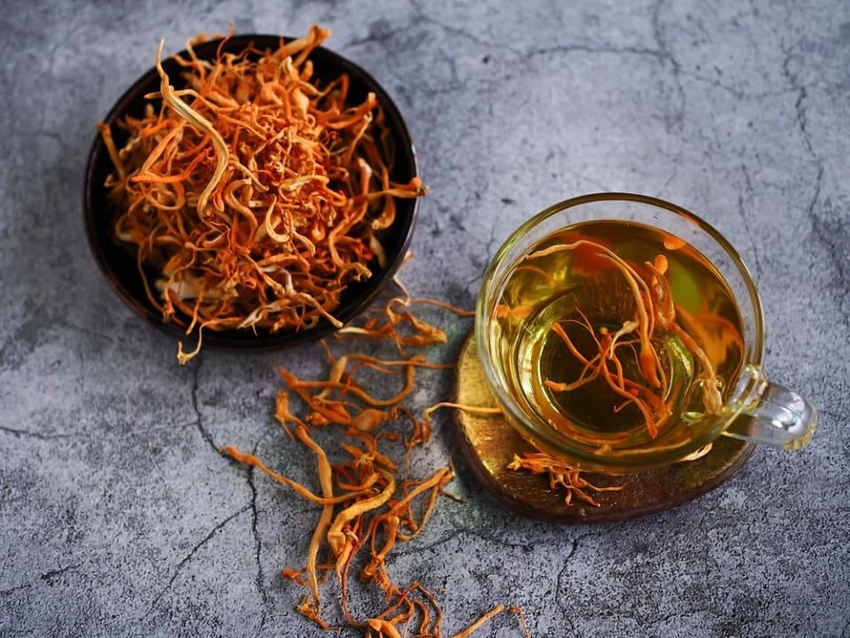 Cordyceps (ciuperca tibetana): beneficii, proprietati, utilizari
