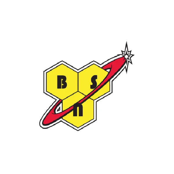BSN