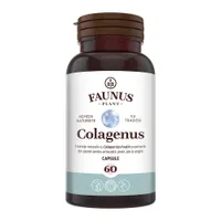 Colagen tip II pentru articulatii oase piele par Colagenus, 60 capsule, Faunus Plant