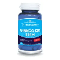 Ginkgo 120+ Stem, 60 capsule, Herbagetica