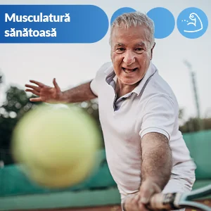 Barbat care joaca tenis - Musculatura sanatoasa Barbat care joaca tenis - Musculatura sanatoasa