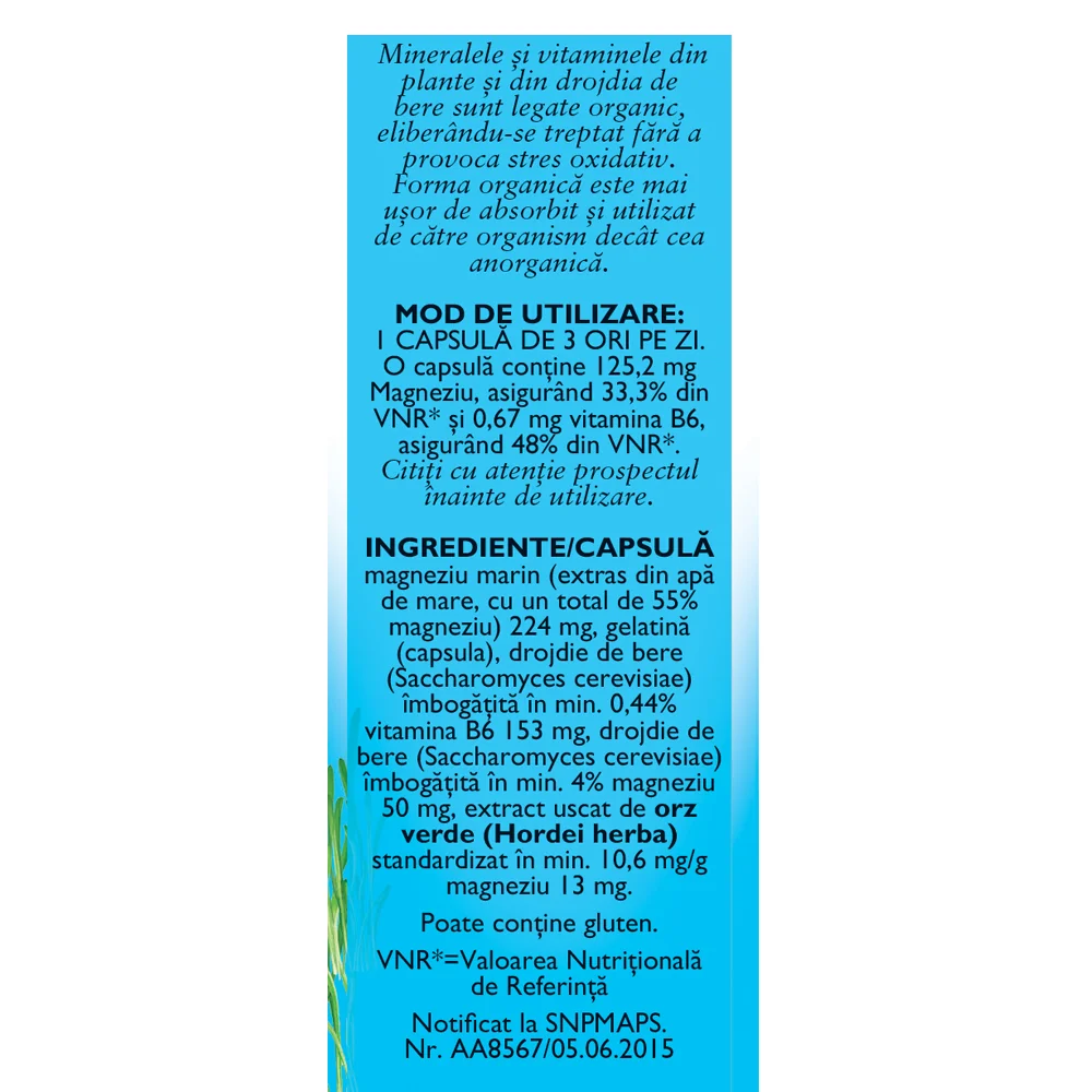 Magneziu + B6 F178, 30 capsule, Fares