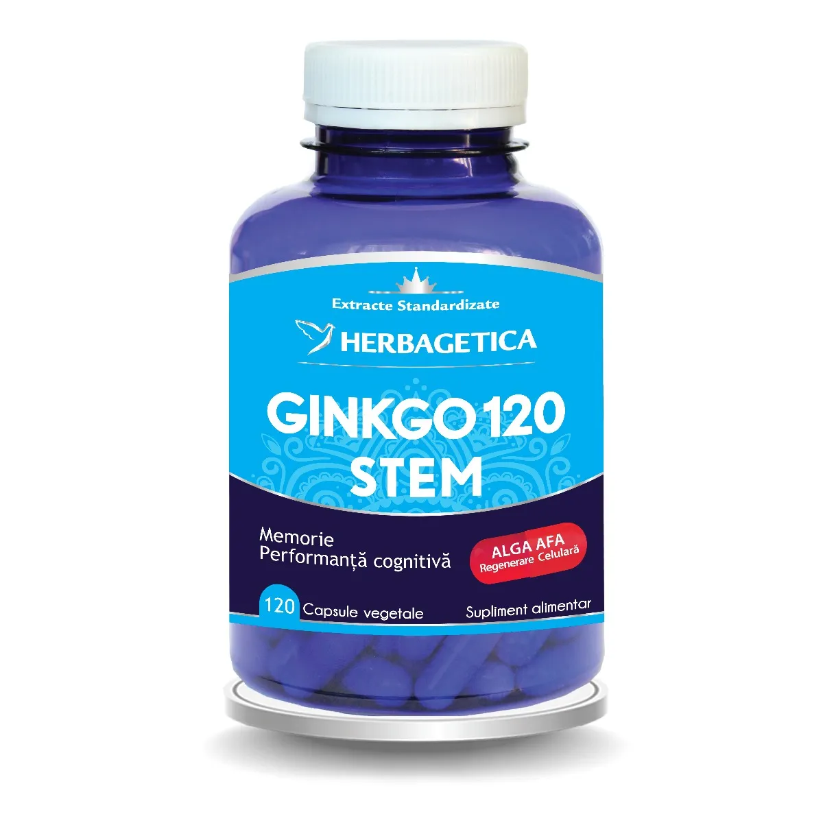 Ginkgo 120+ Stem, 120 capsule, Herbagetica