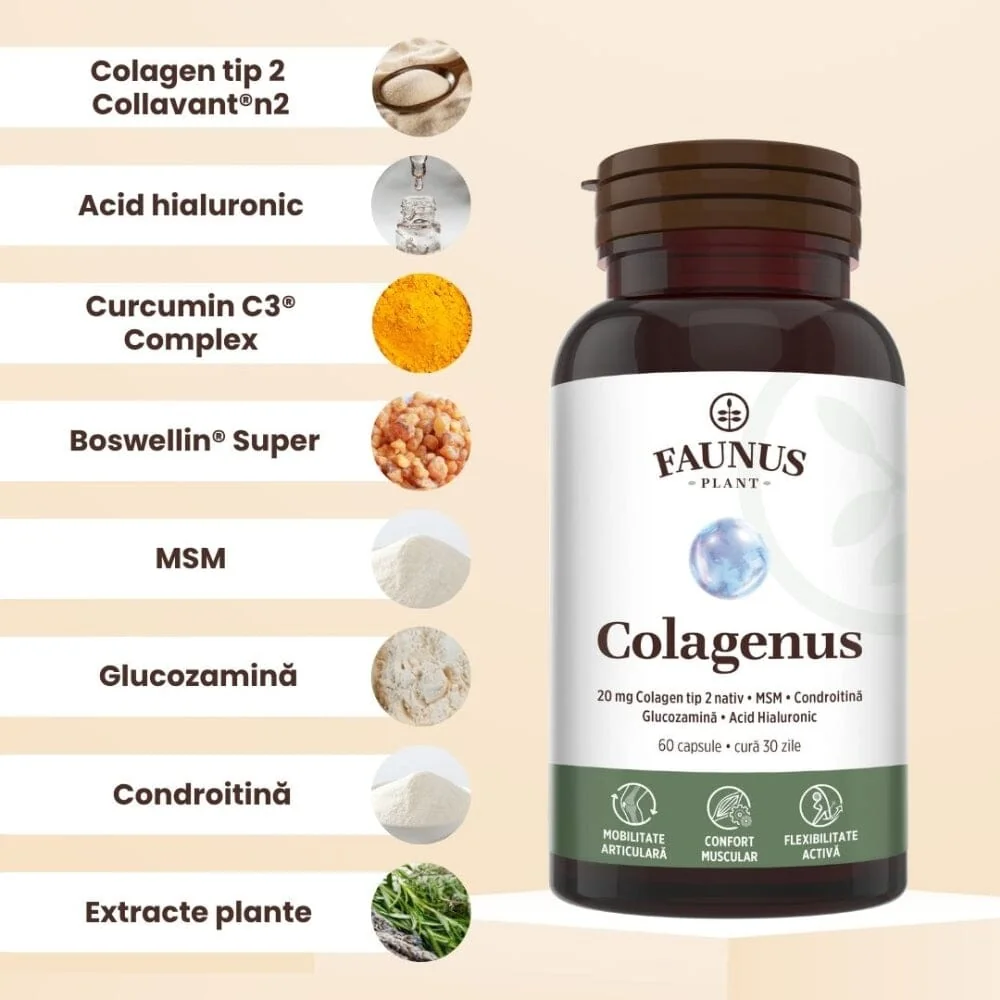 Colagen tip II pentru articulatii oase piele par Colagenus, 60 capsule, Faunus Plant