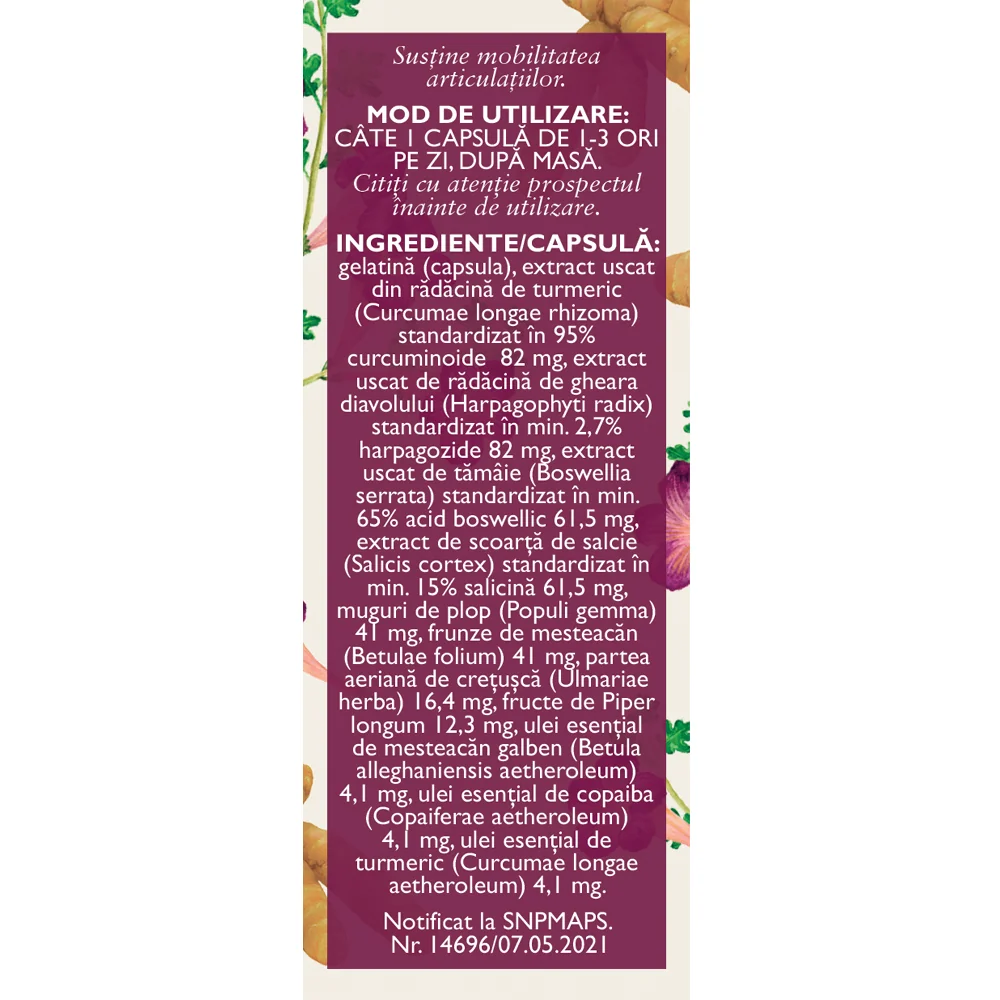 Biomobil L95, 63 capsule, Fares