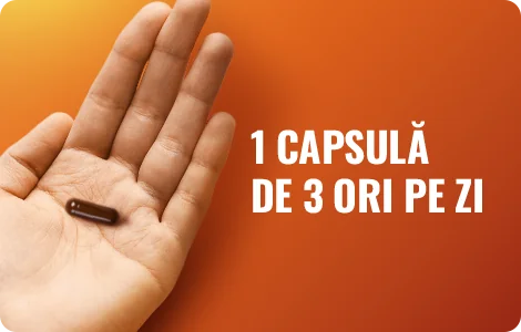 O capsula tinuta in palma pe fundal potrocaliu cu text- o capsula de 3 ori pe zi