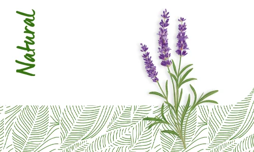 Mist de fata cu extract de lavanda