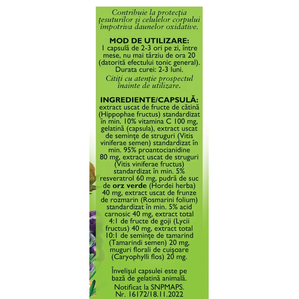 Antioxidant, 60 capsule, Fares