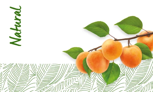 Balsam de buze cu ulei de caise Balsam de buze cu ulei de caise