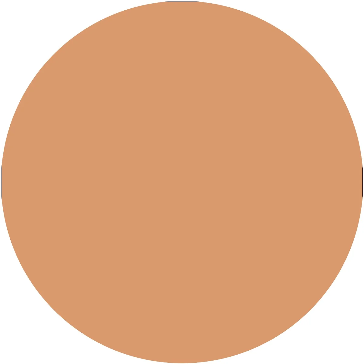 Blush Crush! 10 - Caramel Latte, 5g, Essence 