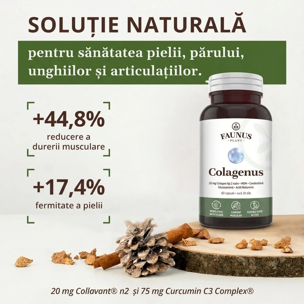 Colagen tip II pentru articulatii oase piele par Colagenus, 60 capsule, Faunus Plant