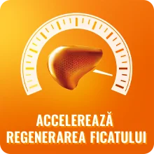 Sustinere din partea naturii pentru ficat