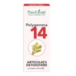 Polygemma 14 Articulatii detoxifiere, 50ml, Plant Extrakt