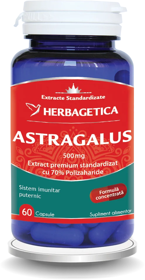 Astragalus 500mg cu 70% Polizaharide, 60 capsule, Herbagetica