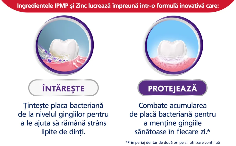 Ajuta gingiile intareste si protejeaza Ajuta gingiile intareste si protejeaza
