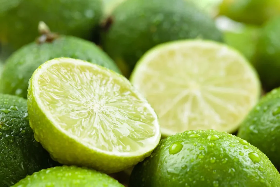 Lime taiat