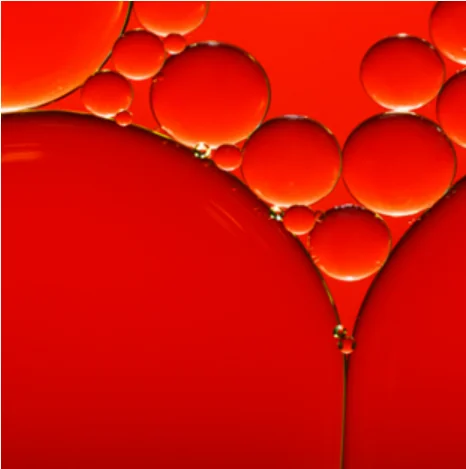 COMPLEX ANTIOXIDANT NATURAL COMPLEX ANTIOXIDANT NATURAL