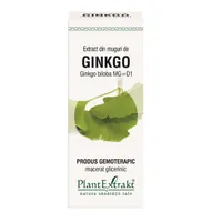 Extract din muguri de Ginkgo Biloba, 50ml, PlantExtrakt