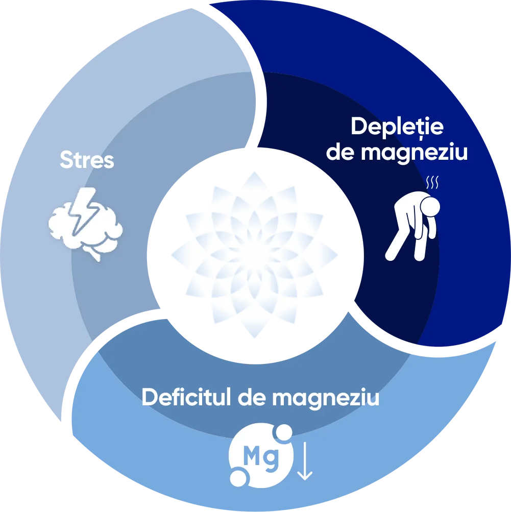 Cerc impartit in 3 stari: stres, depletie de magneziu, deficit de magneziu