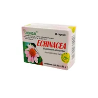 Echinaceea, 40 comprimate, Hofigal