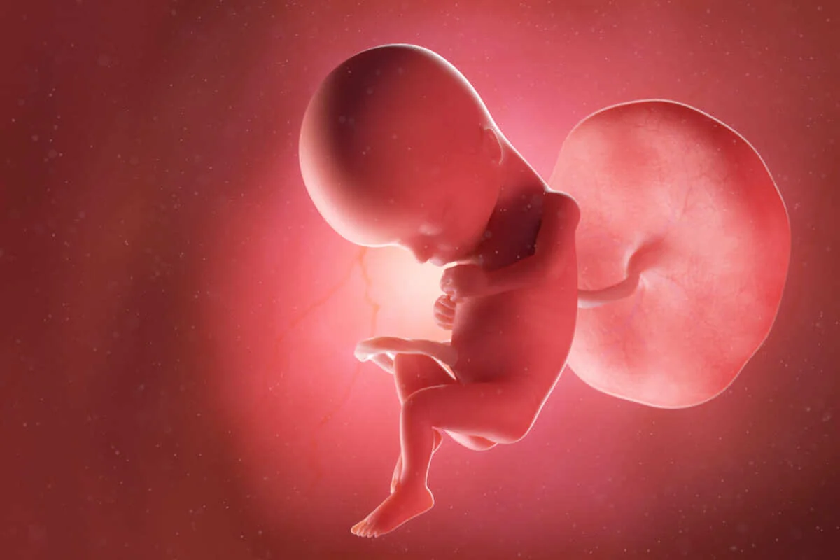 Placenta accreta: cauze, simptome, tratament