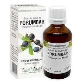 Extract din muguri de Porumbar, 50ml, PlantExtrakt