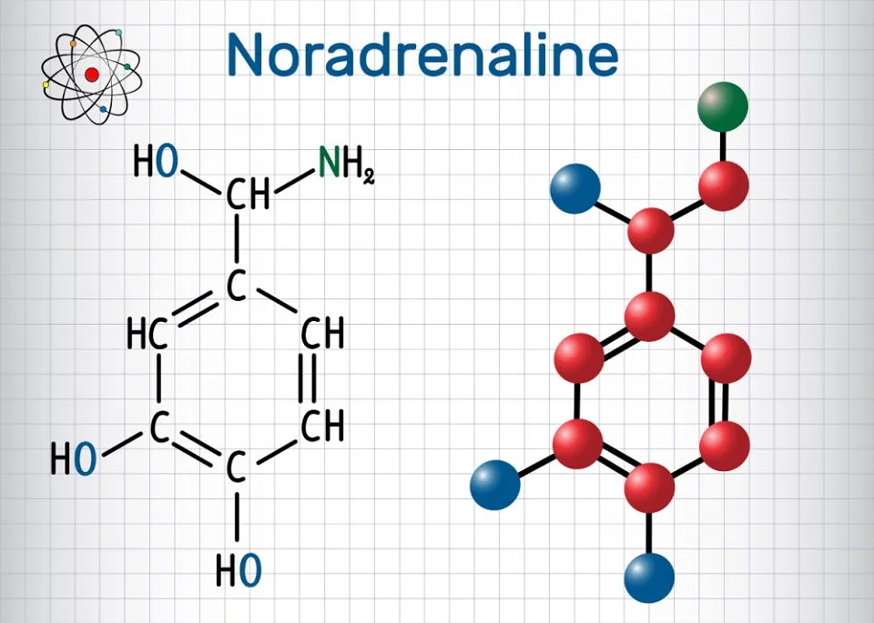 Folosirea noradrenalinei ca medicament