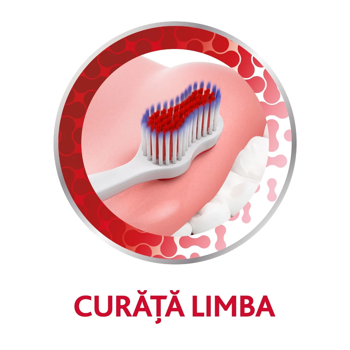 Periuta de dinti Soft Complete Protection, 1 bucata, Parodontax