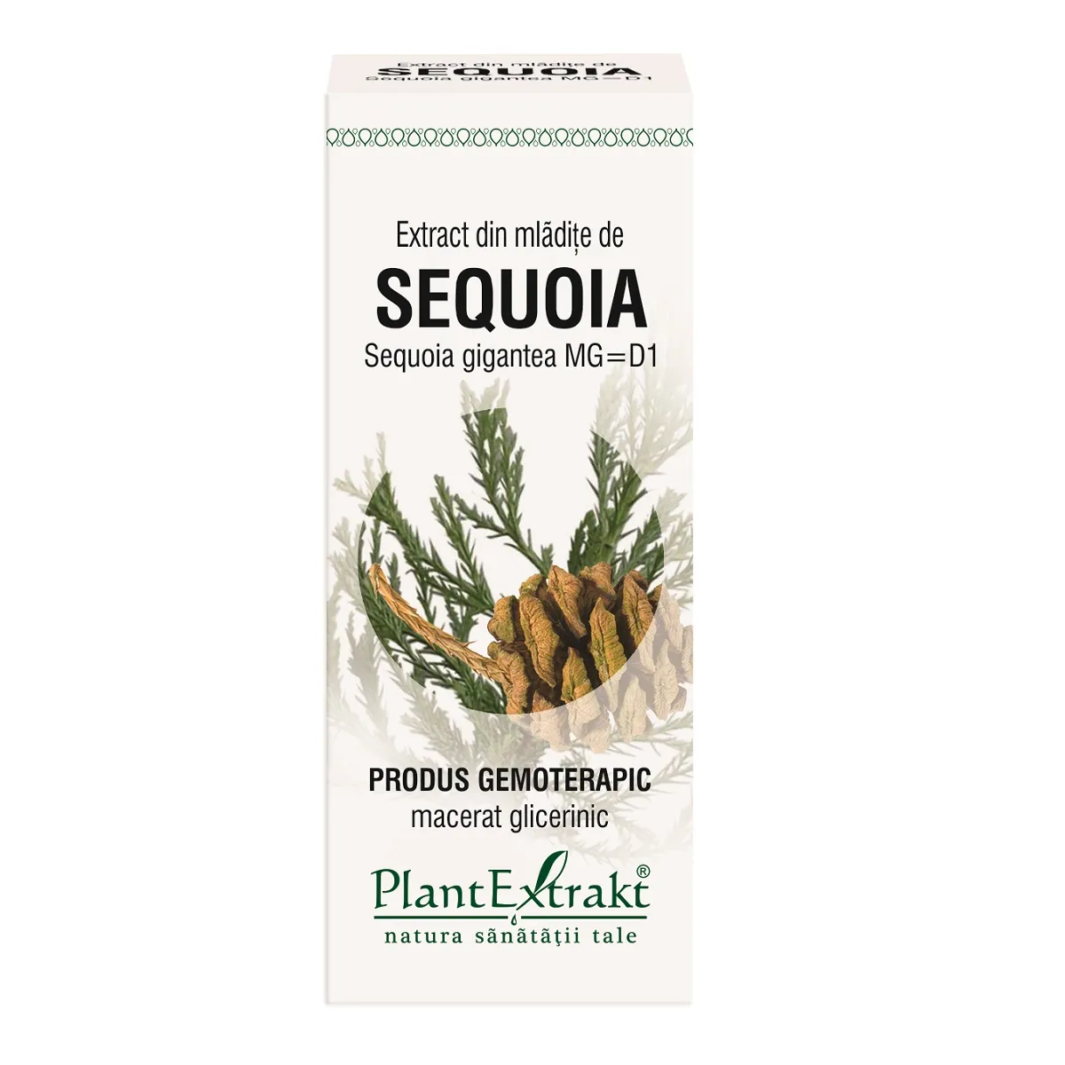 Extract din mladite de sequoia, 50ml, Plantextrakt