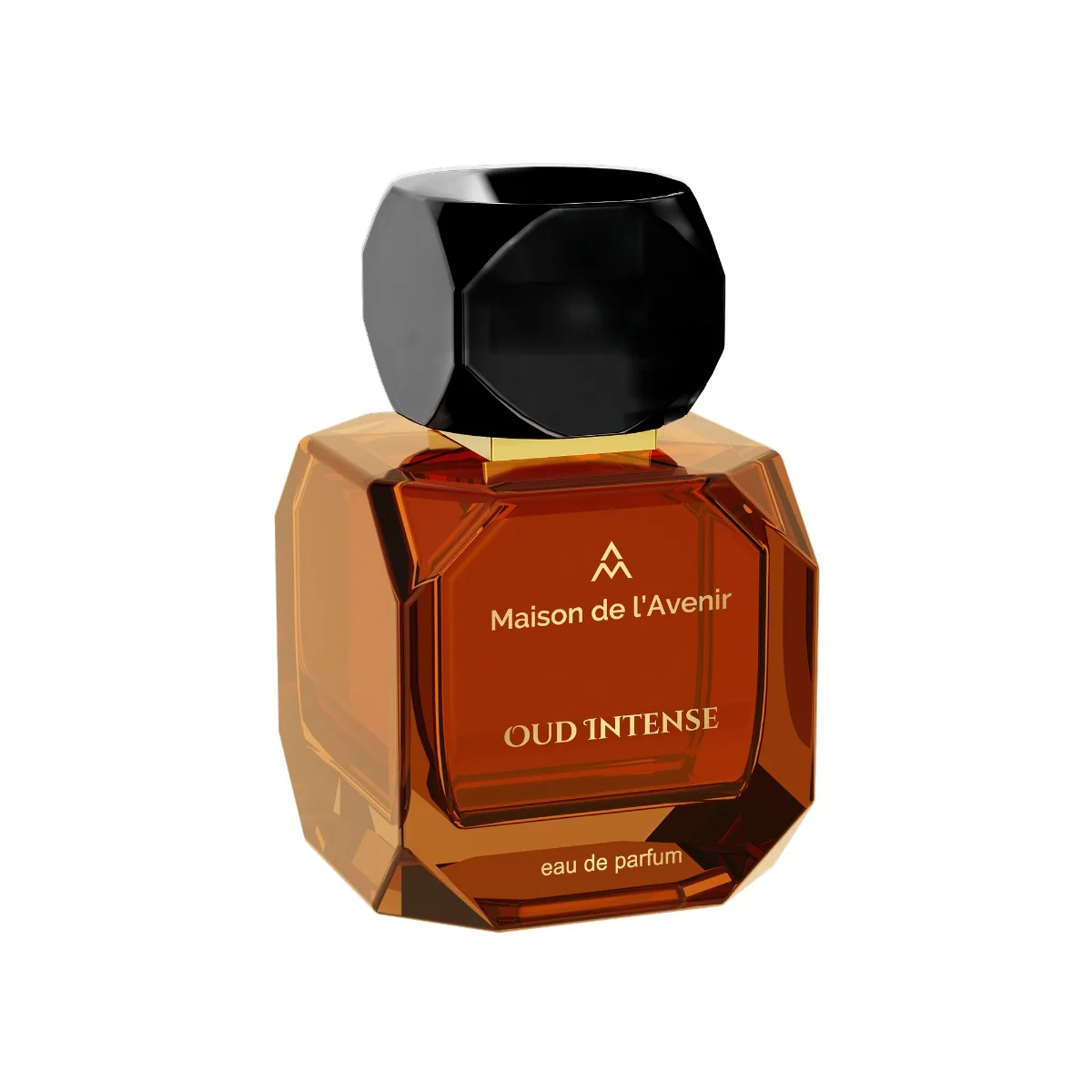 Apa de parfum Oud Intense Elixir Collection Unisex, 100ml, Maison de l'Avenir
